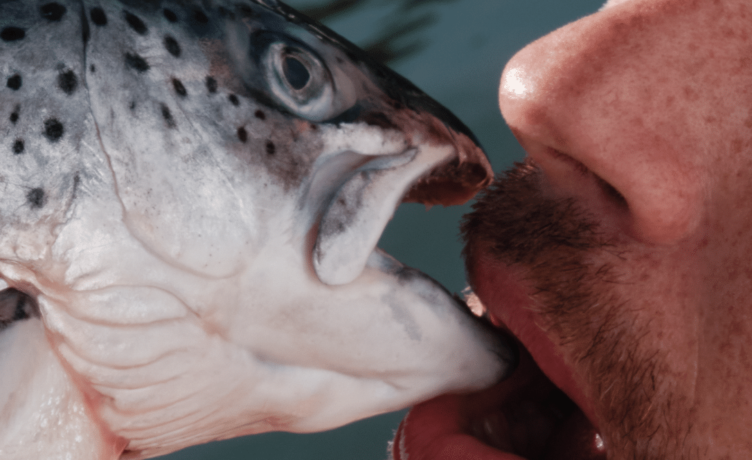 Tussen de mazen - Nic Bruckman